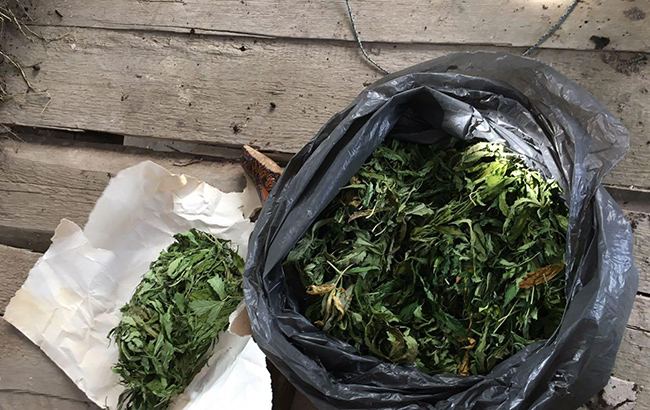 В Херсонской области обнаружили посев конопли на почти млн гривен